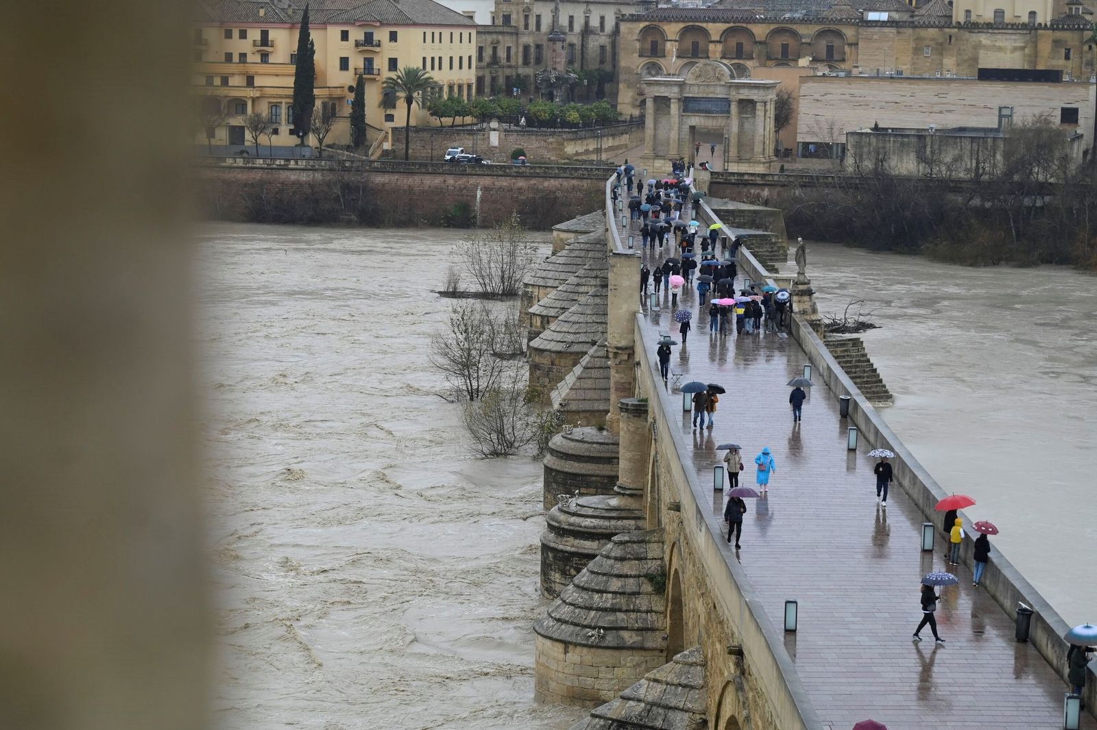 Las impactantes imágenes de la crecida del río Guadalquivir a su paso por Córdoba