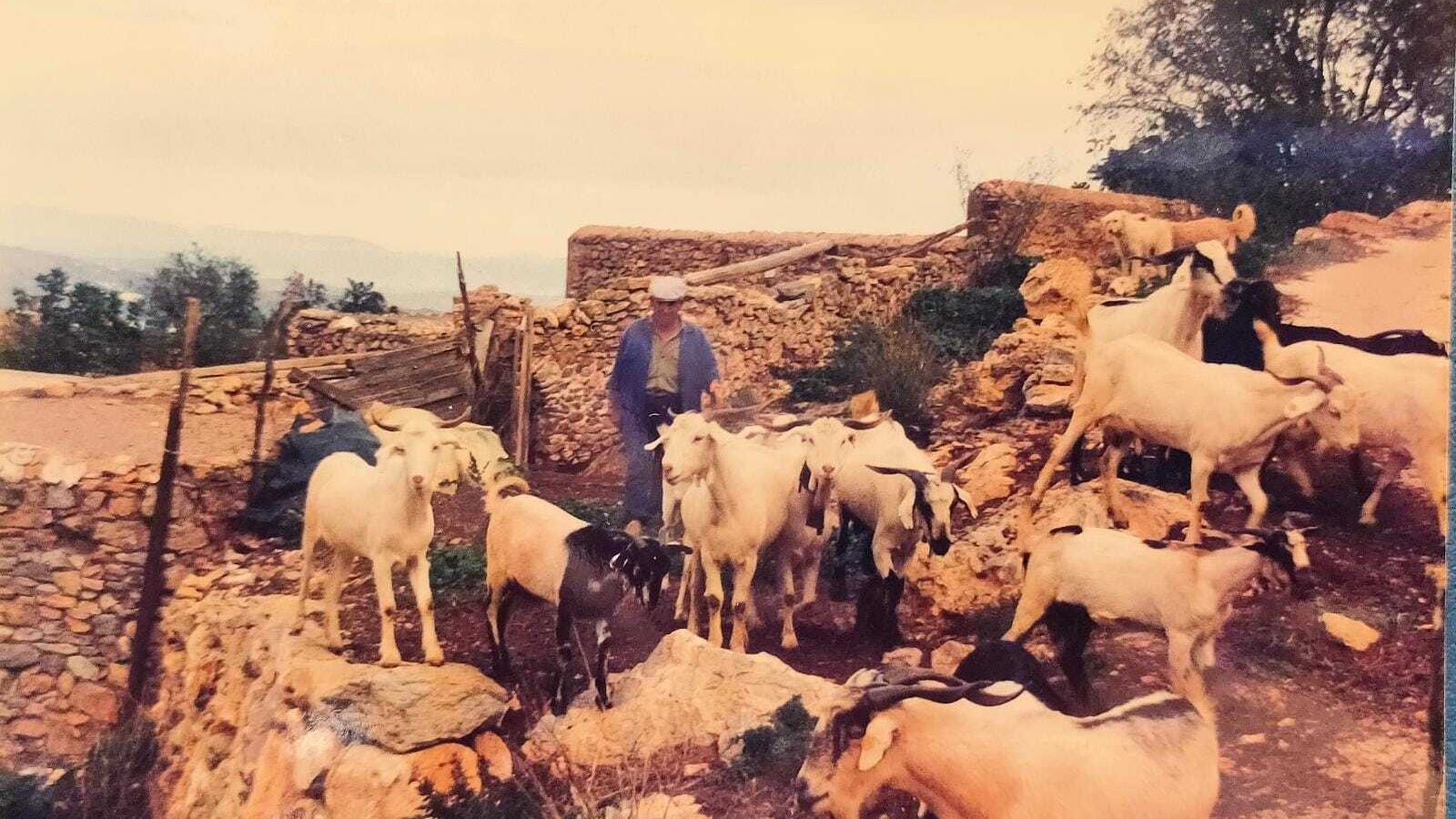 Diego López con sus cabras en una foto de hace varias décadas.
