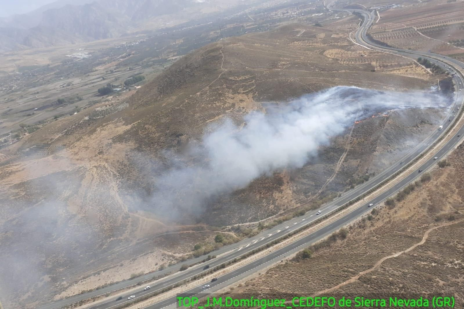 Incendio declarado en Padul Incendio declarado en Padul