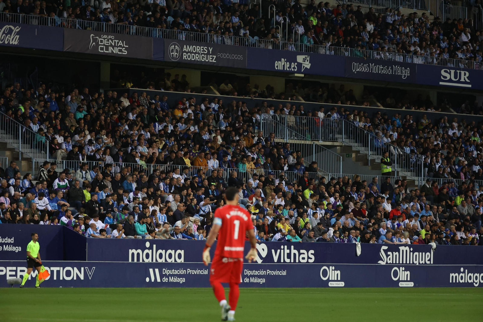 Imagen de La Rosaleda.