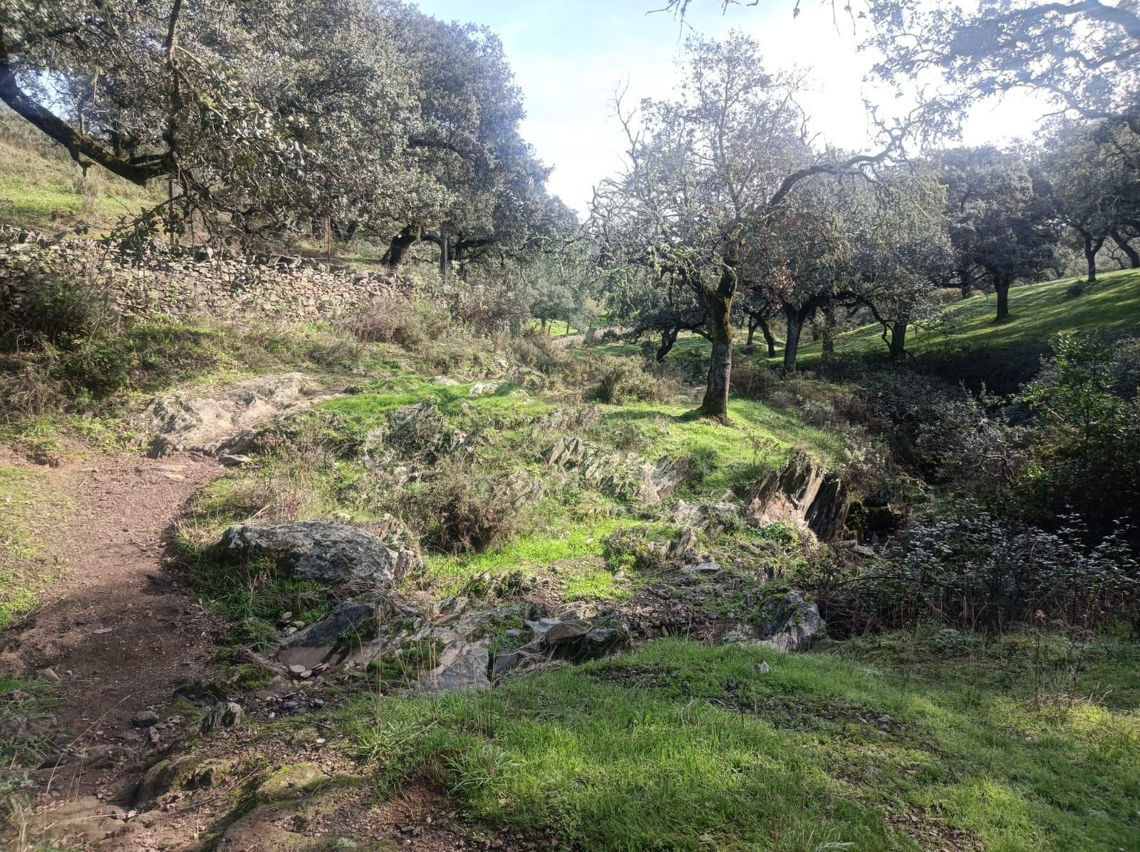 El ocasiones se puede volver el terreno más irregular, pero en general es sencillo.