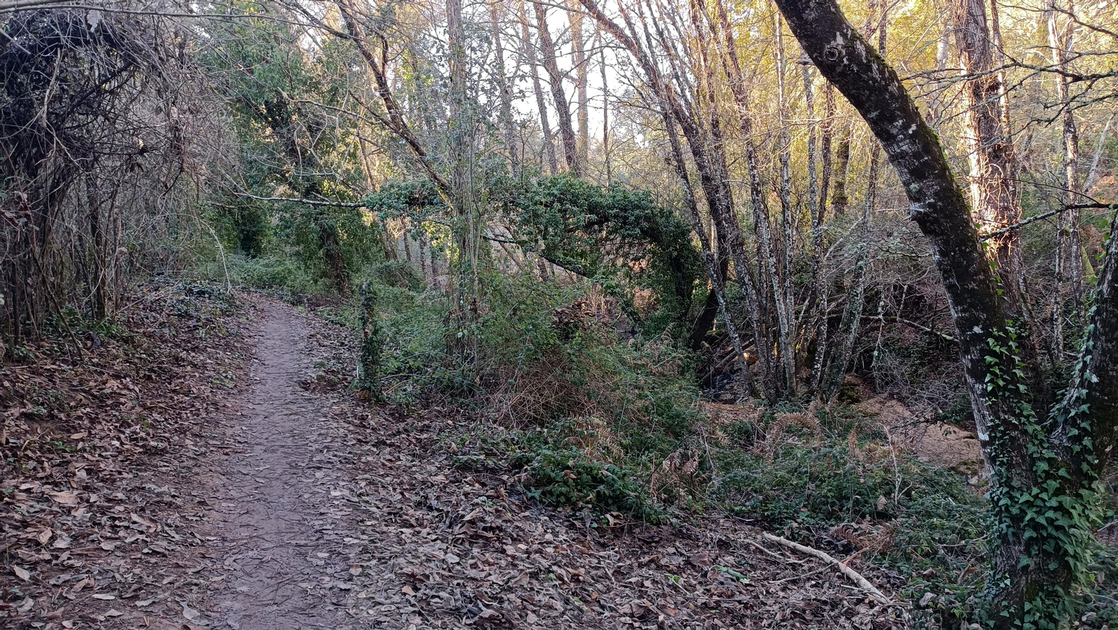 El sendero es estrecho en muchos puntos.