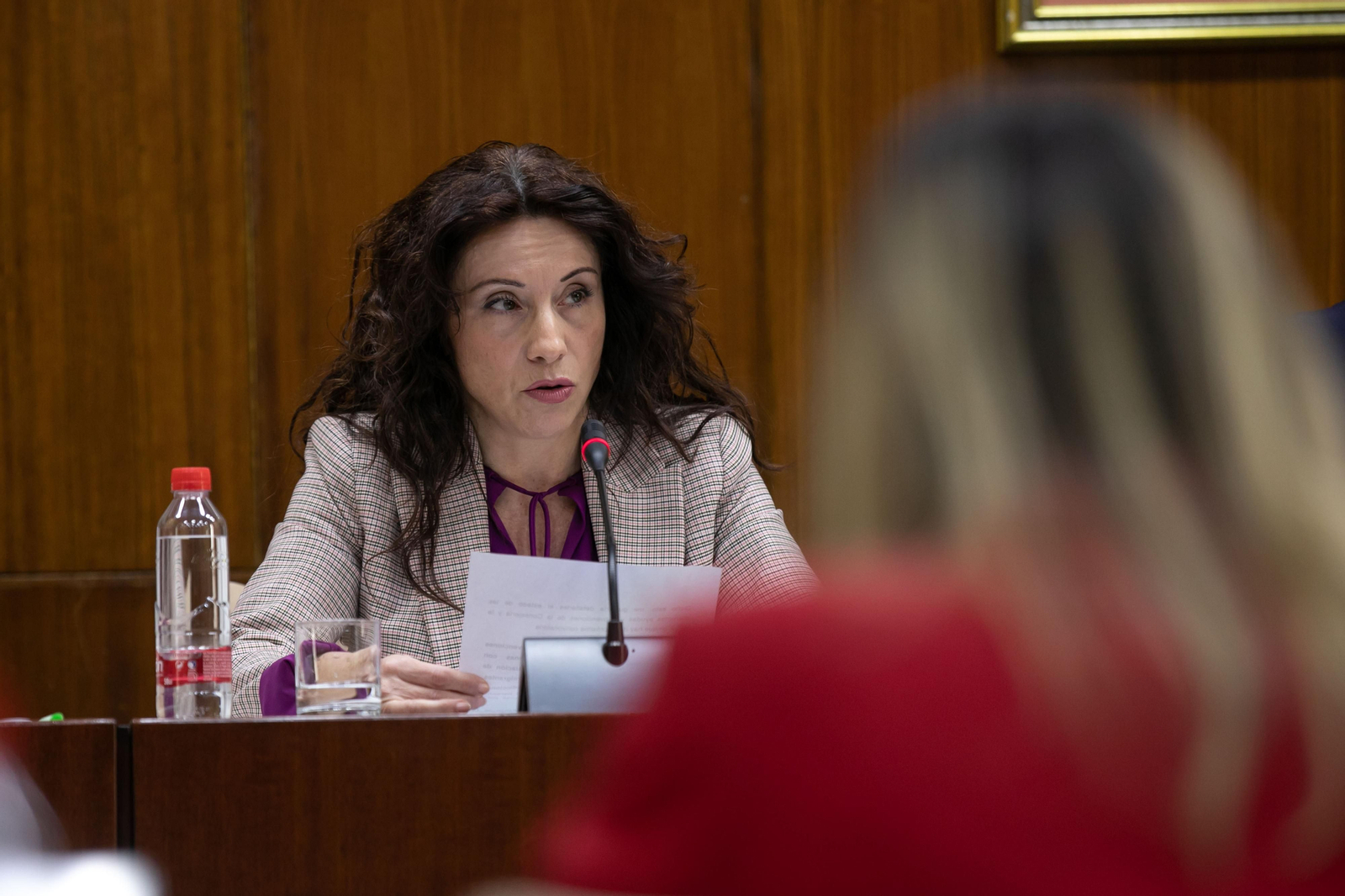 La consejera de Igualdad, Rocío Ruiz, hoy miércoles en el Parlamento.