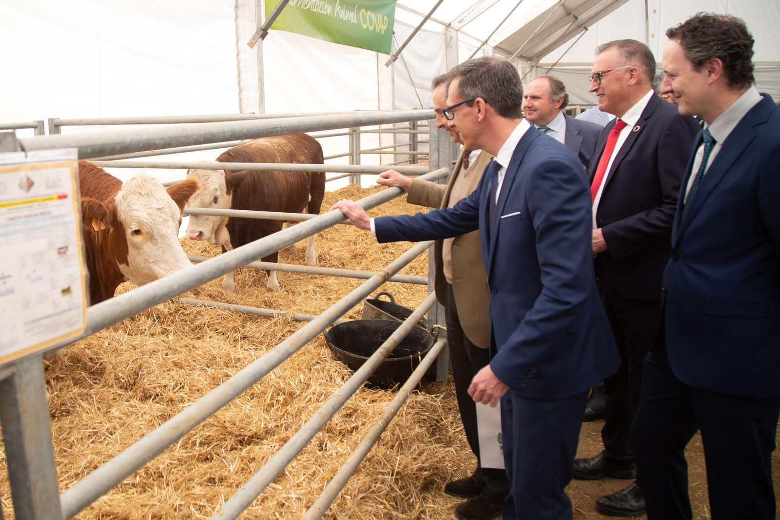 Un recorrido en fotografías por la Feria Agroganadera de Los Pedroches