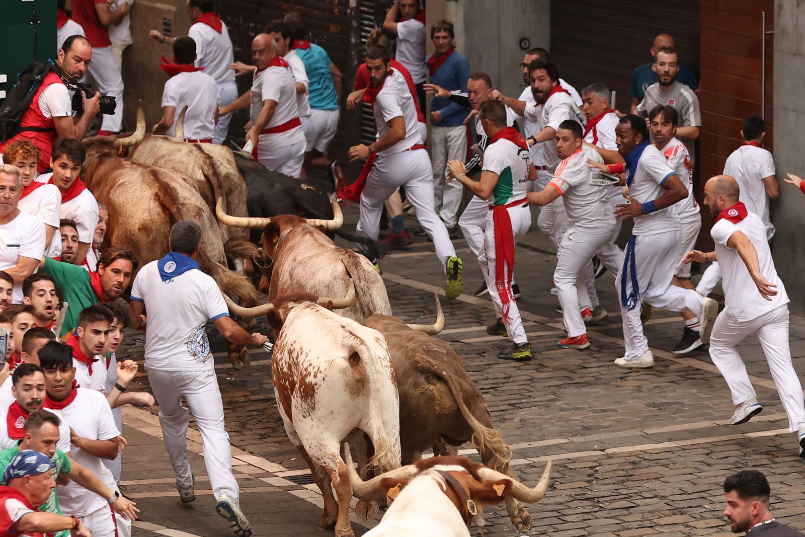 El encierro de los toros de Núñez del Cuvillo en imágenes
