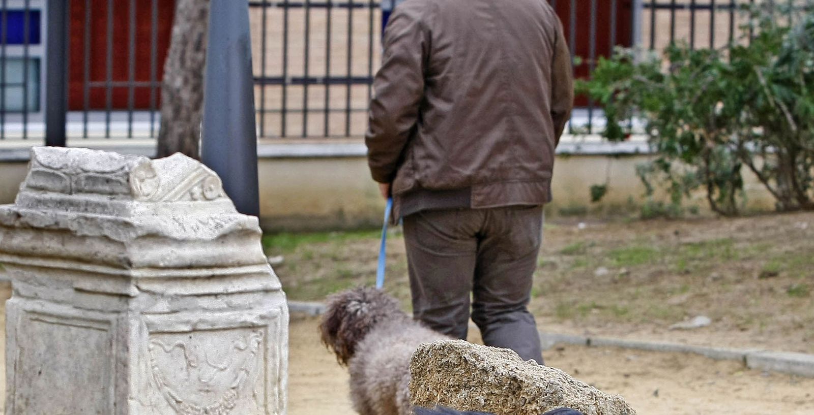 Un ciudadano con su perro en un parque de Cádiz.