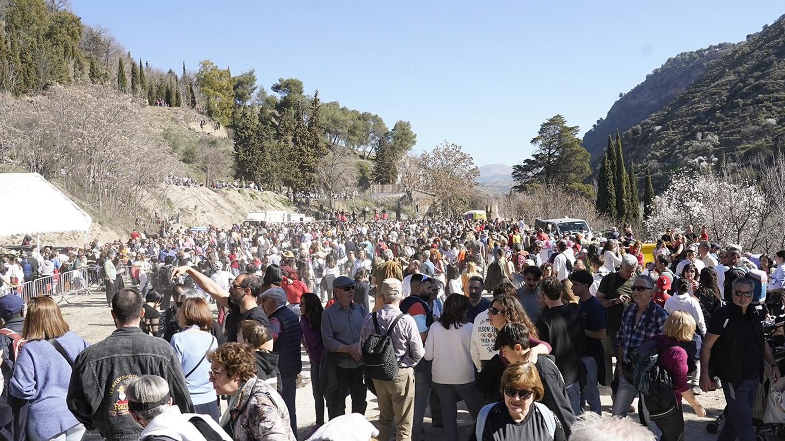 La romería de San Cecilio, en imágenes