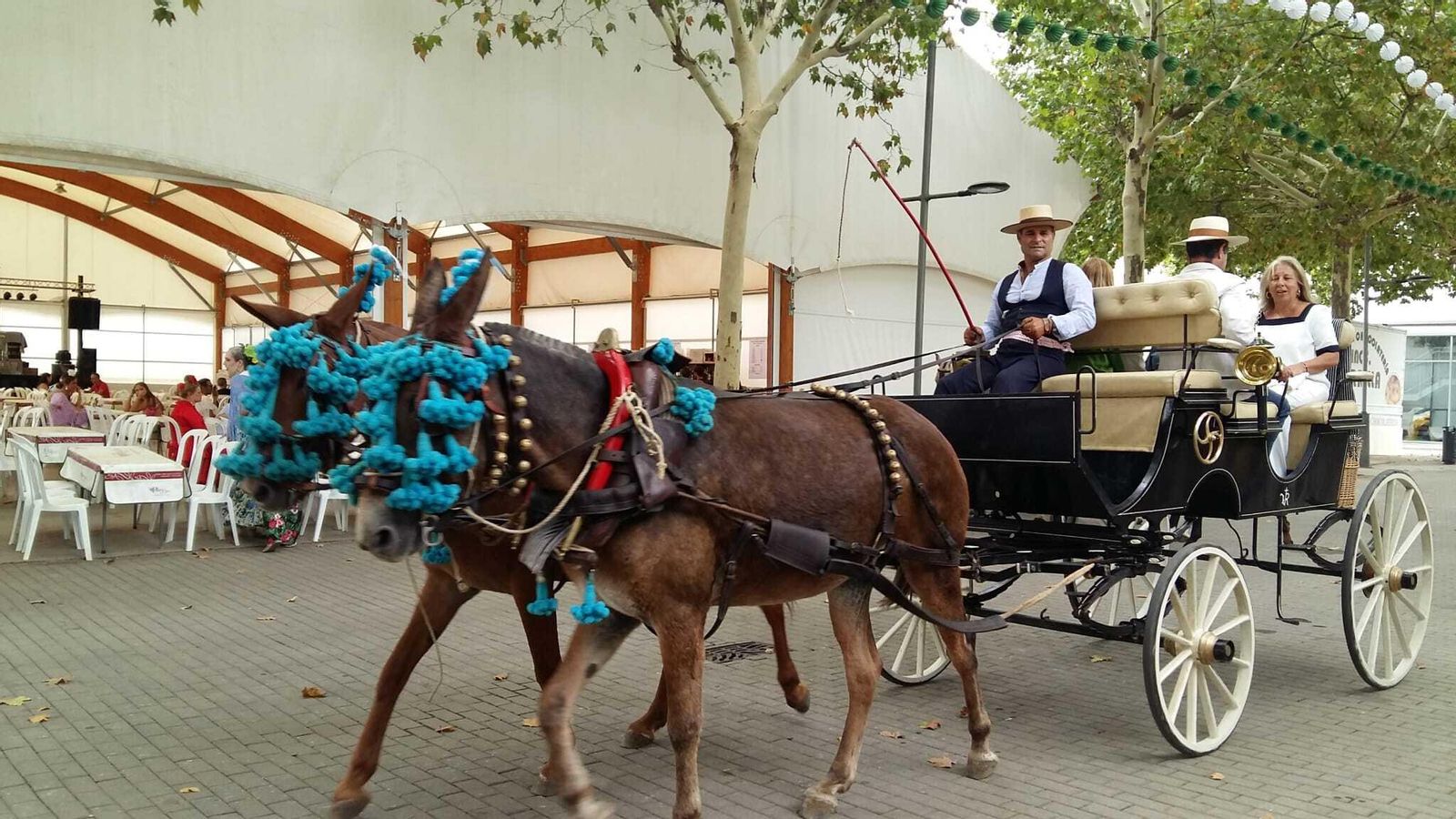 Un coche de caballos por el recinto ferial.