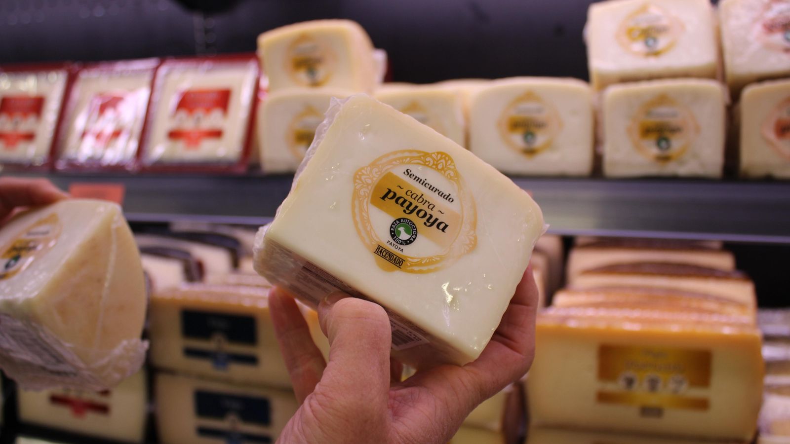 Uno de los quesos de cabra de raza Payoya.