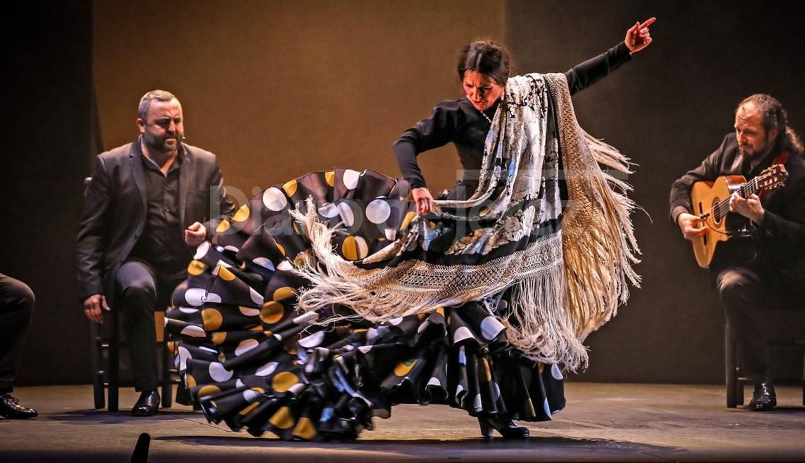 Imágenes del espectáculo 'Recital Flamenco' de Concha Jareño
