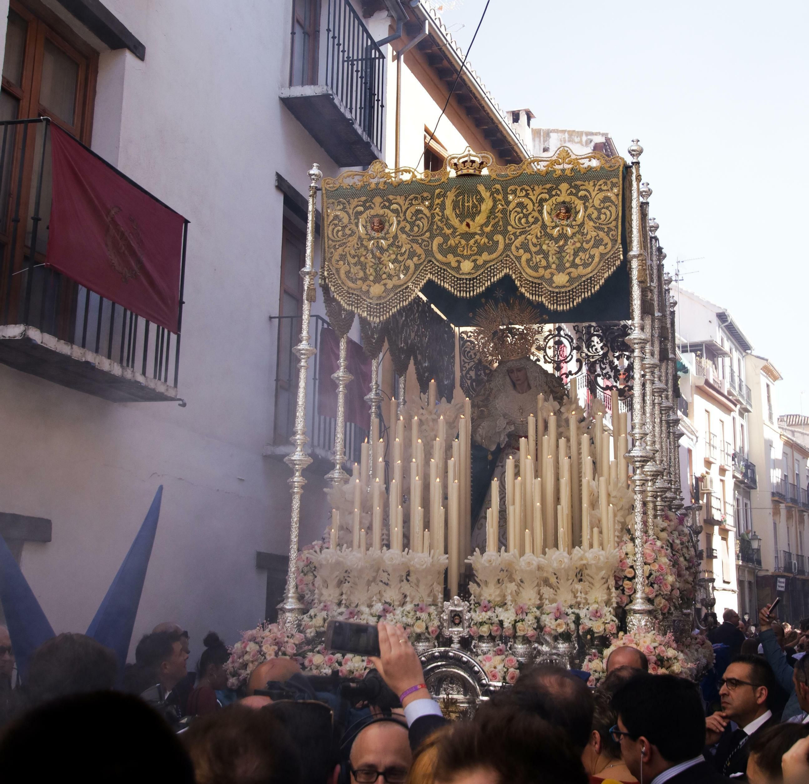 Galería de fotos de La Borriquilla en un soleado Domingo de Ramos