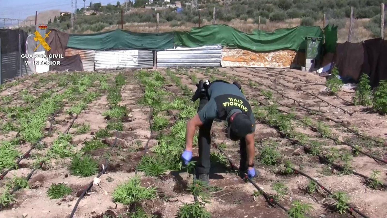 Imagen cedida por la Guardia Civil.