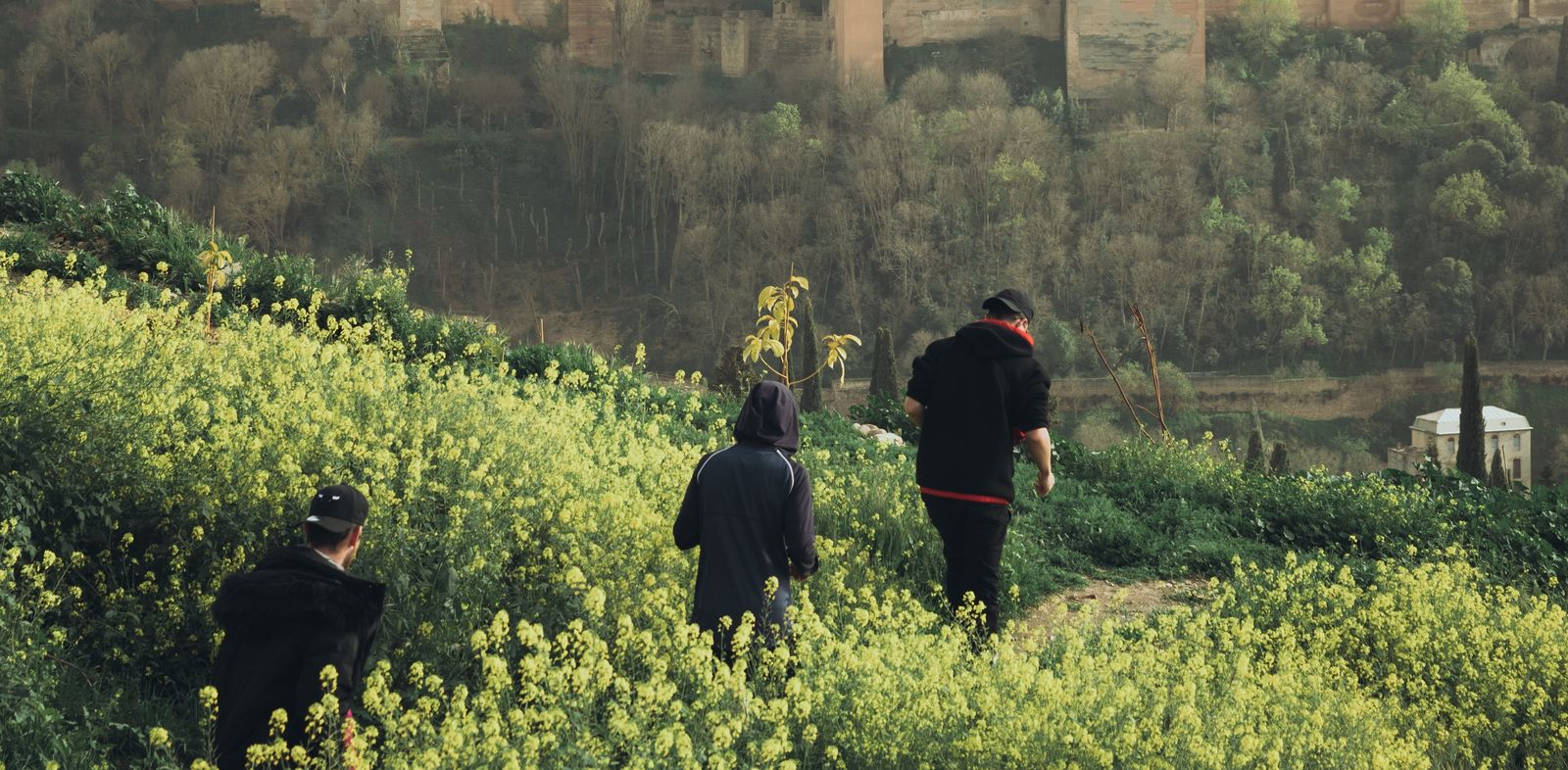 Una foto de Granada, elegida entre 1.200 imágenes como la más representativa de Andalucía