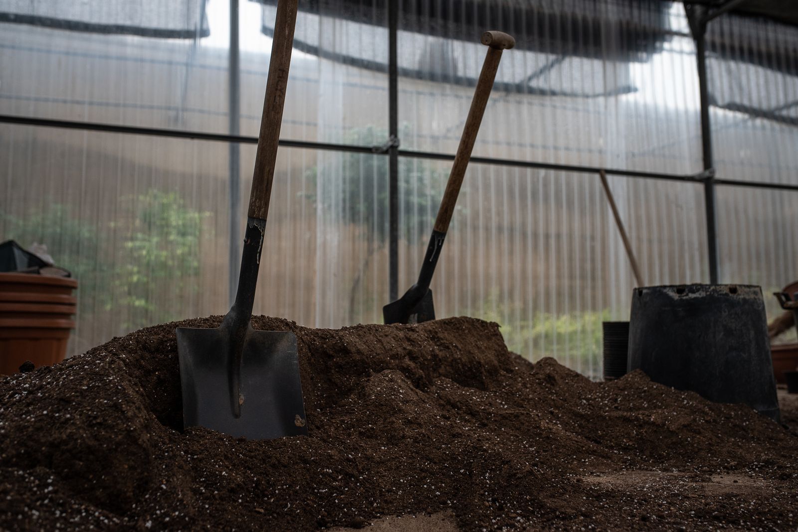 Visita al vivero municipal en imágenes