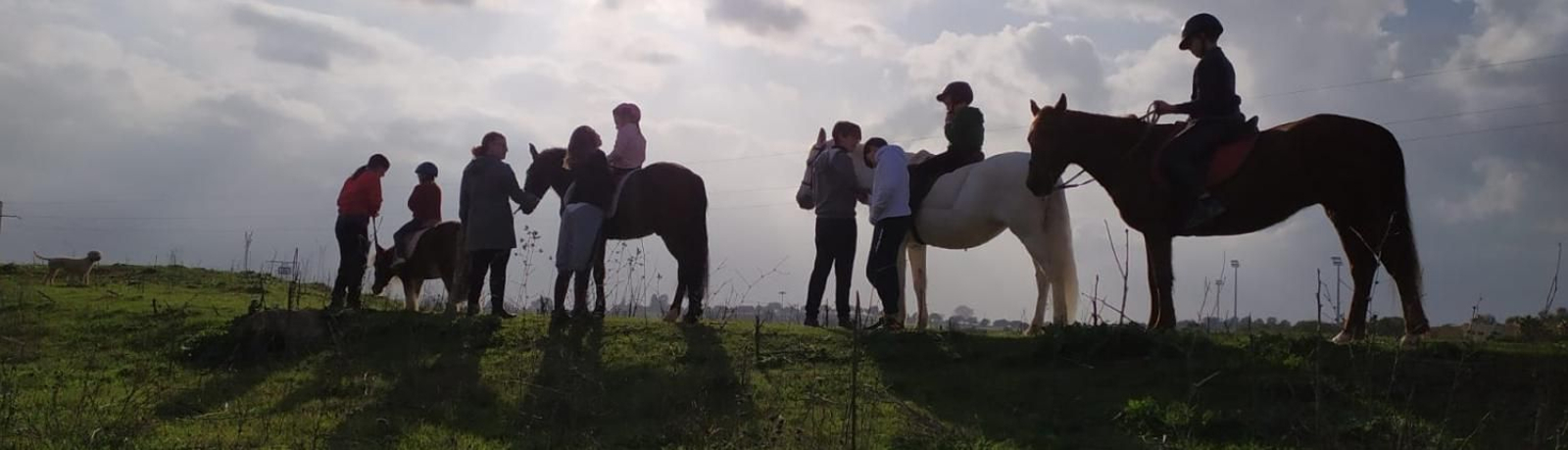 Los niños pueden disfrutar de actividades ecuestres y en contacto con la naturaleza en este campamento.