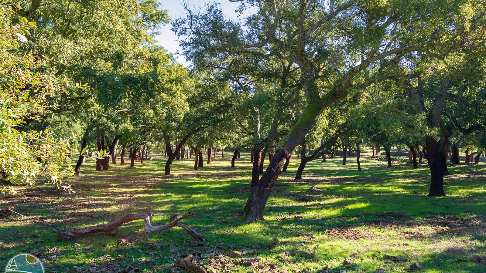 Sendero del Risco de Levante / LOS SENDEROS MÁS BONITOS DE ESPAÑA (Santa Ana la Real) Sendero del Risco de Levante / LOS SENDEROS MÁS BONITOS DE ESPAÑA (Santa Ana la Real)