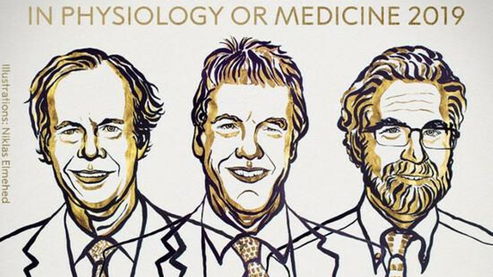 Premiados en Medicina.