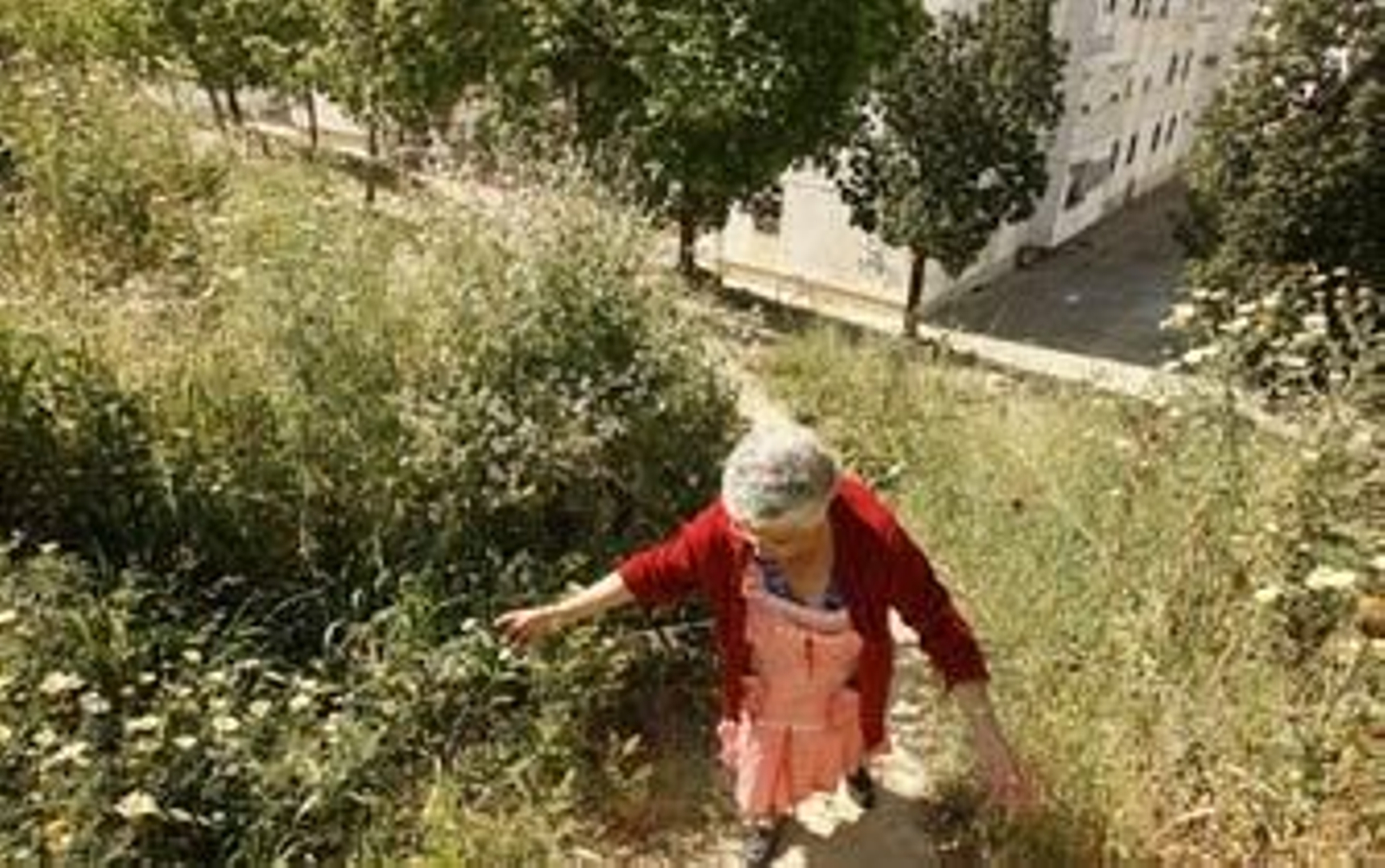 Camino a Vista ¿Alegre?