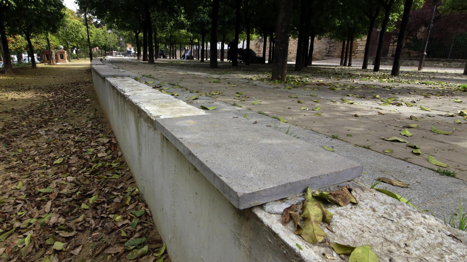 Abandono en la Alameda Vieja