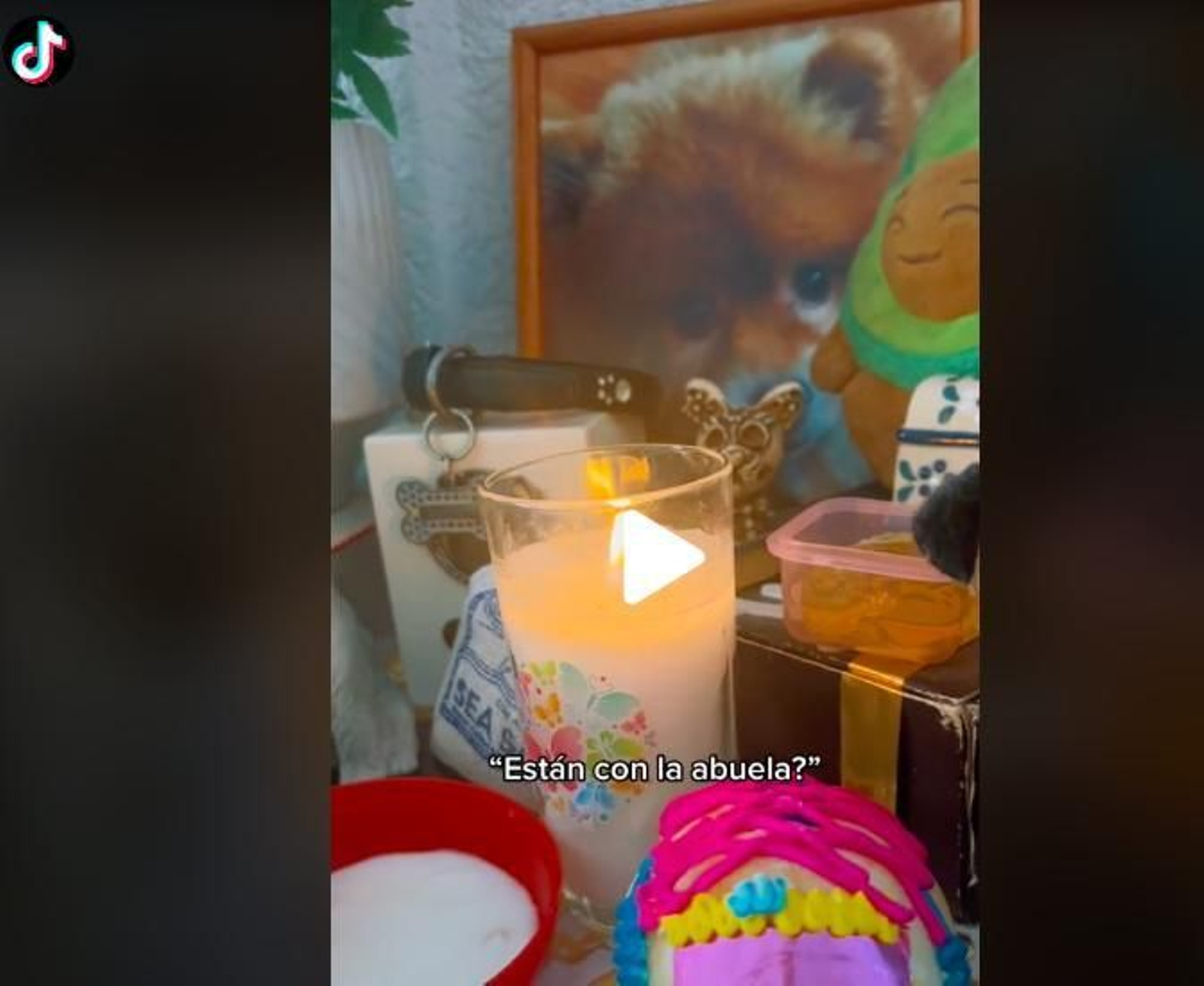 Un curioso vídeo de Tik Tok podría afirmar que las mascotas fallecidas nos visitan desde el más allá