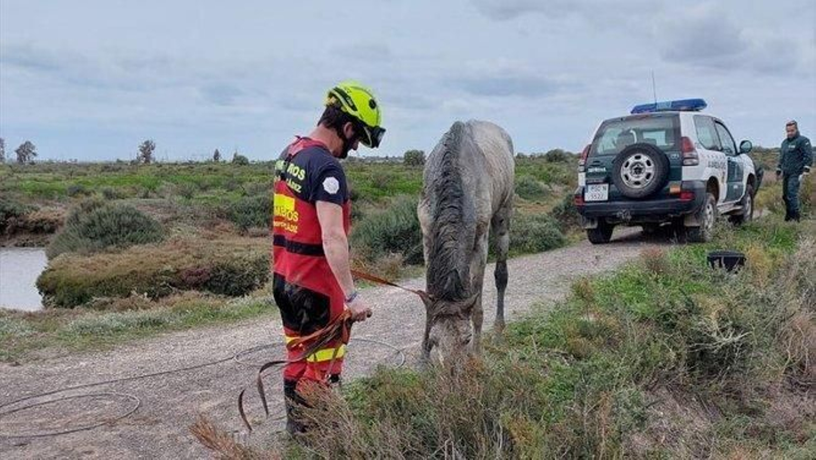 Un bombero con el animal, ya fuera del caño.