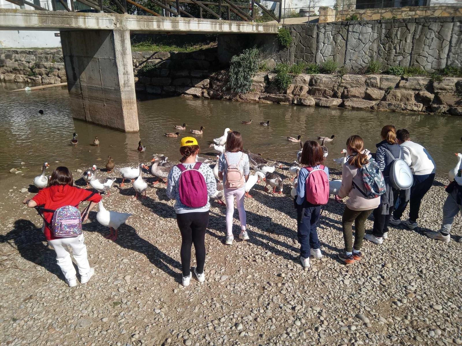 Alumnos del colegio Tierno Galván de Cádiz durante su visita al río Guadalete. Alumnos del colegio Tierno Galván de Cádiz durante su visita al río Guadalete.