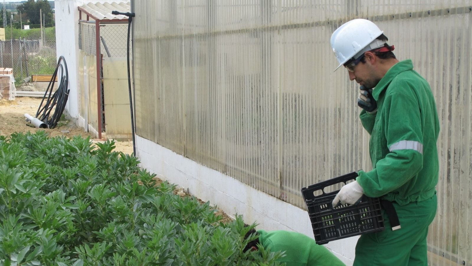 Instalaciones del centro El Parque, en El Marquesado, donde se desarrollará el curso de jardinería y horticultura ecológica.