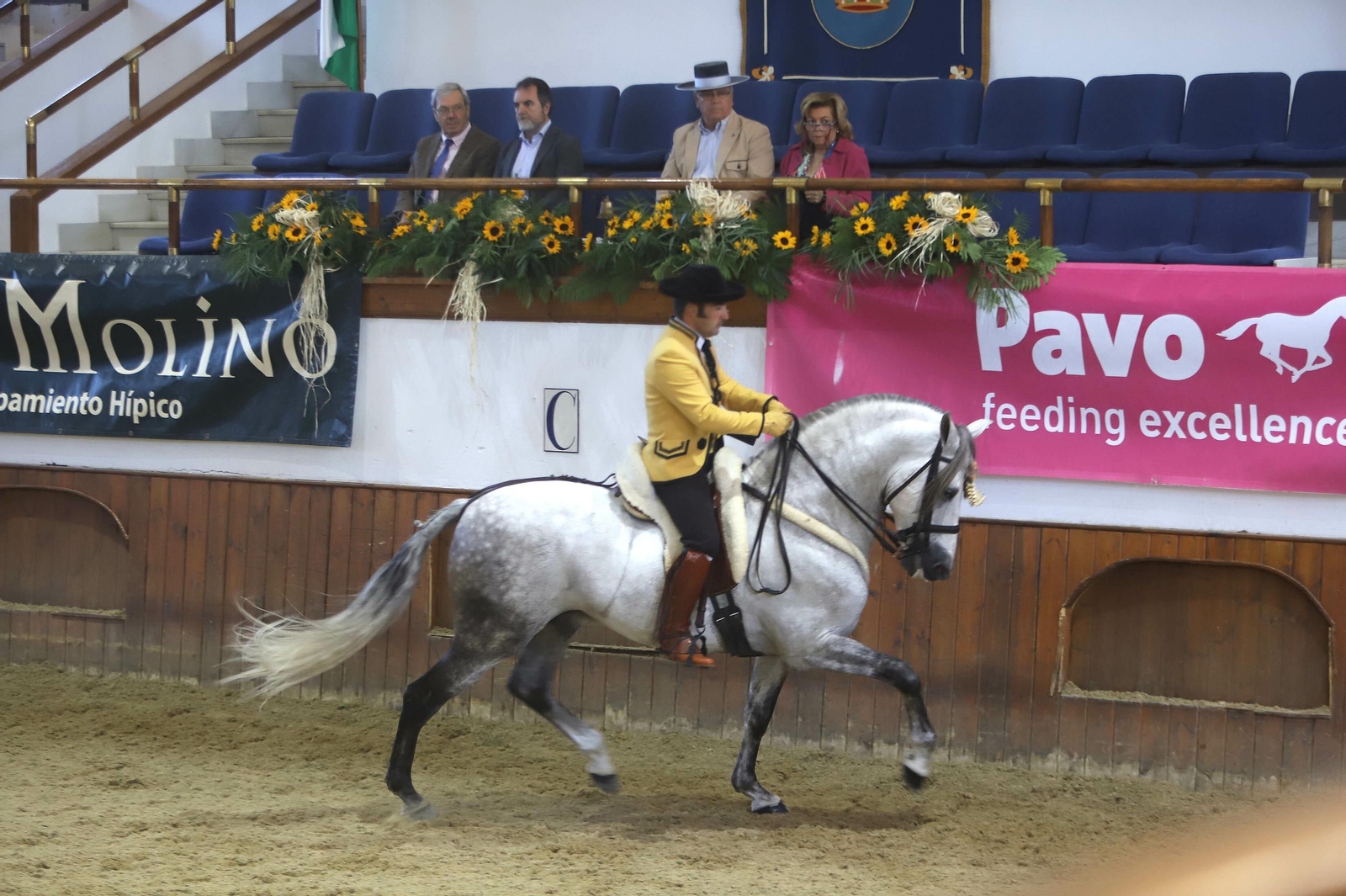 La Real Escuela albergó el XVII Campeonato de Andalucía de Doma de Alta Escuela.