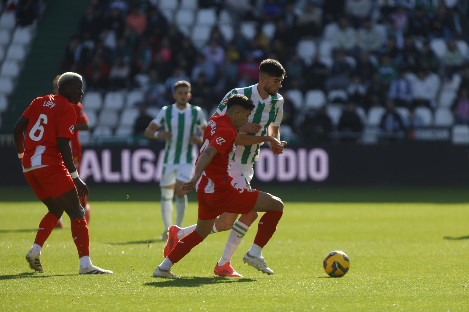Las mejores fotos del ambiente en el Córdoba CF - Almería en El Arcángel