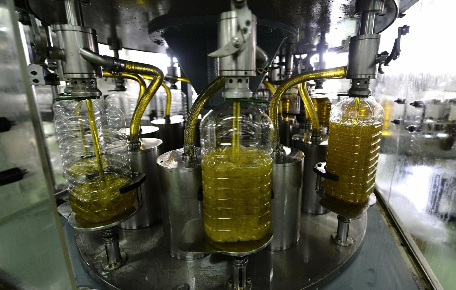 Línea de llenado de garrafas de aceite de una almazara. Línea de llenado de garrafas de aceite de una almazara.