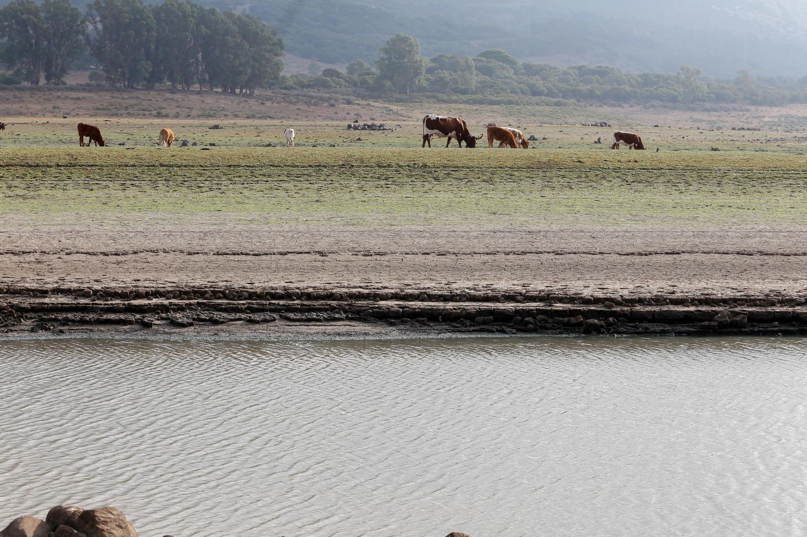 Fotos del estado del pantano de Charco Redondo en Los Barrios