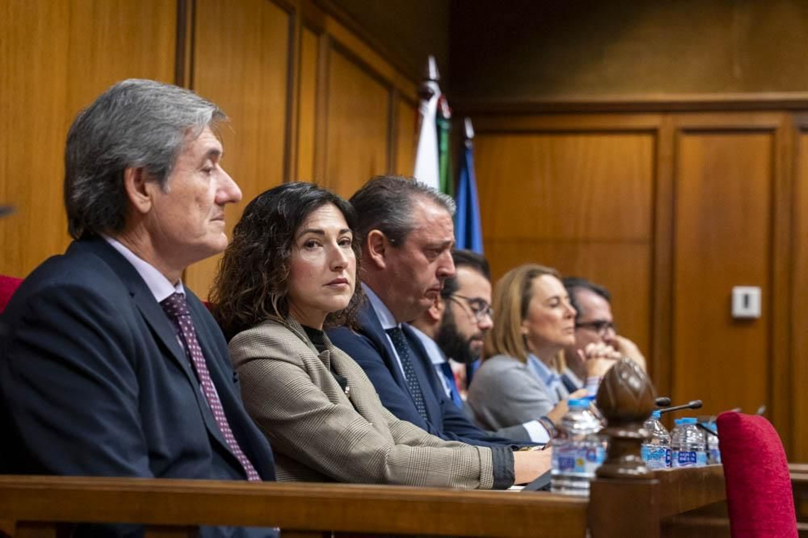 Las imágenes del primer pleno en Diputación sin Javier Aureliano García