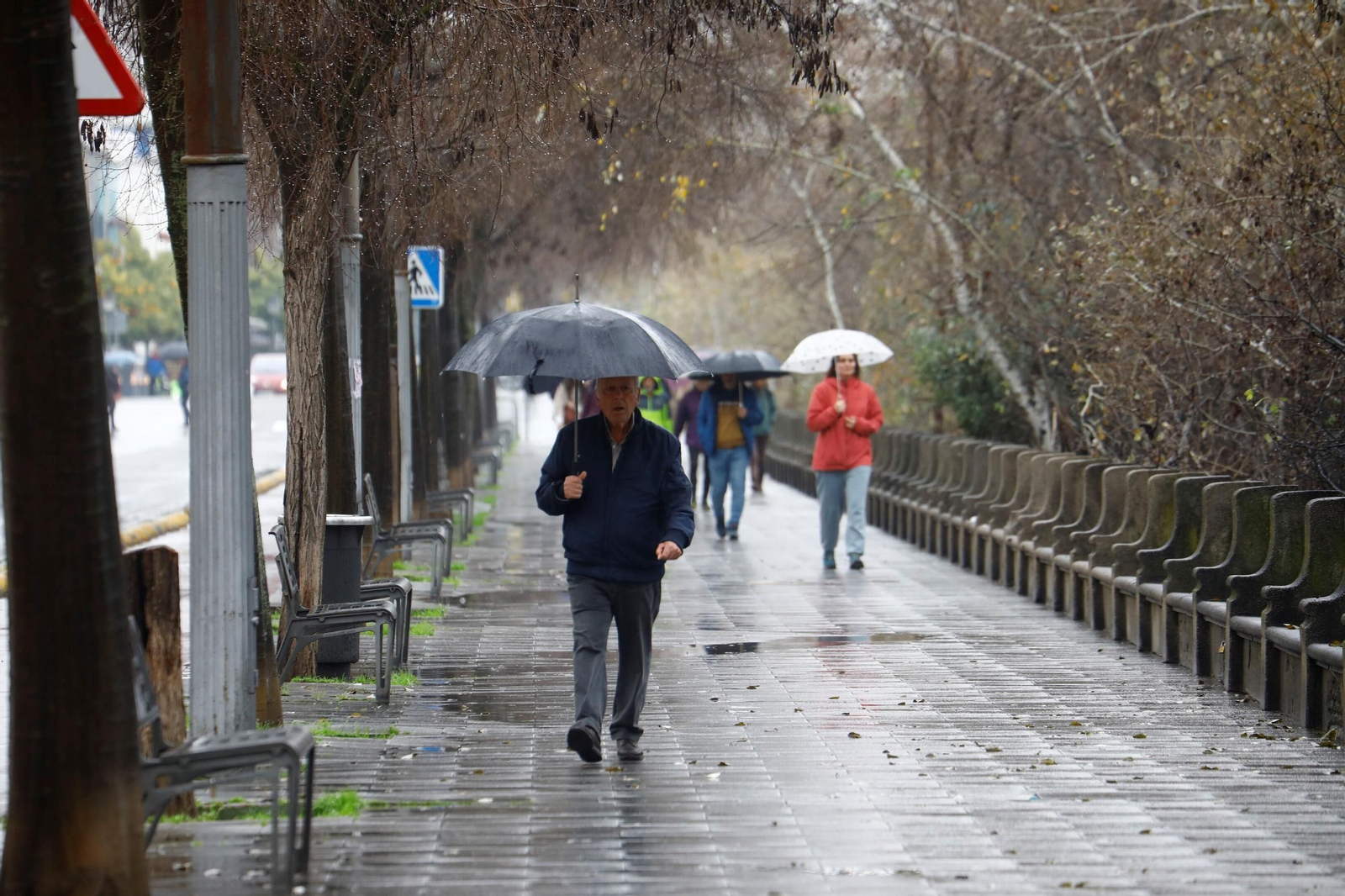 El paso de la borrasca Herminia por Córdoba, en imágenes