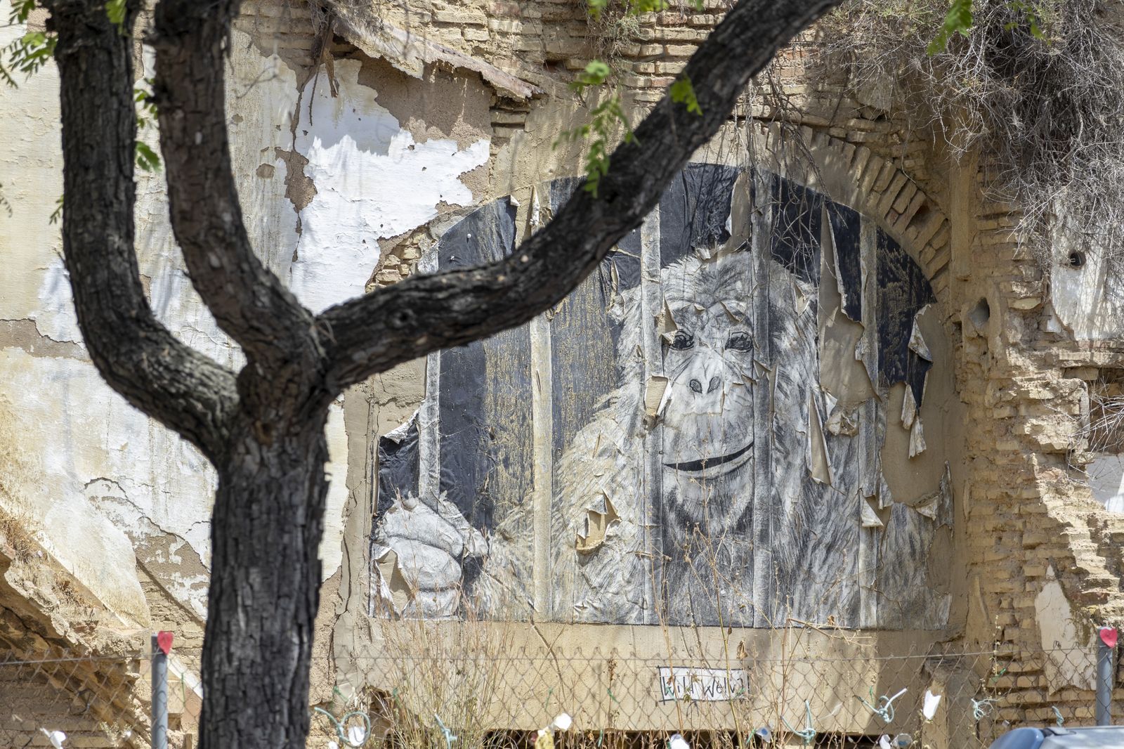 Imágenes del martes 16 de mayo en Huelva