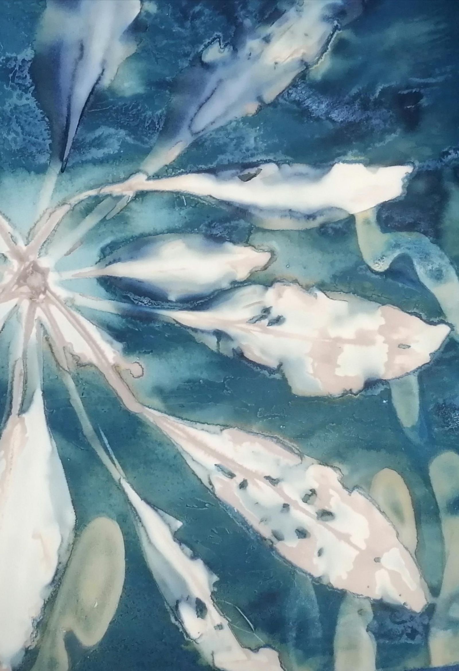 Retazo de una de las imágenes de la muestra de Enma Lápiz.