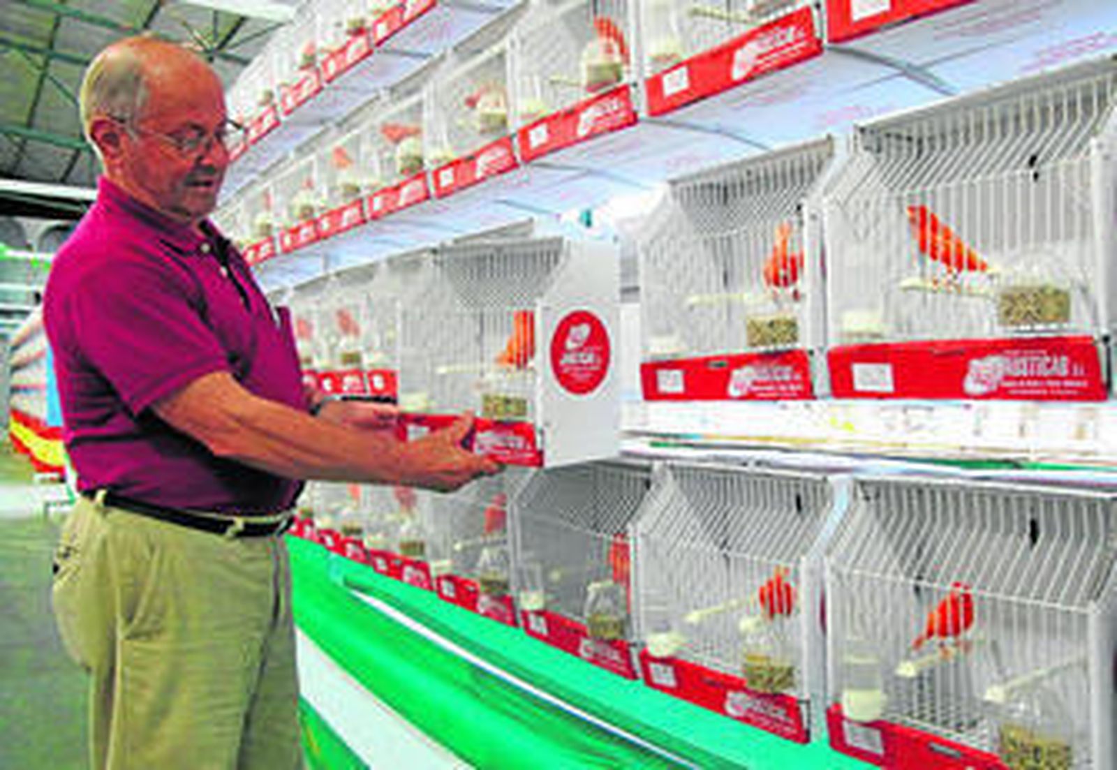 Ramón Bolaños, presidente de la Asociación ornitológica, coloca la jaula de uno de los pájaros participantes.