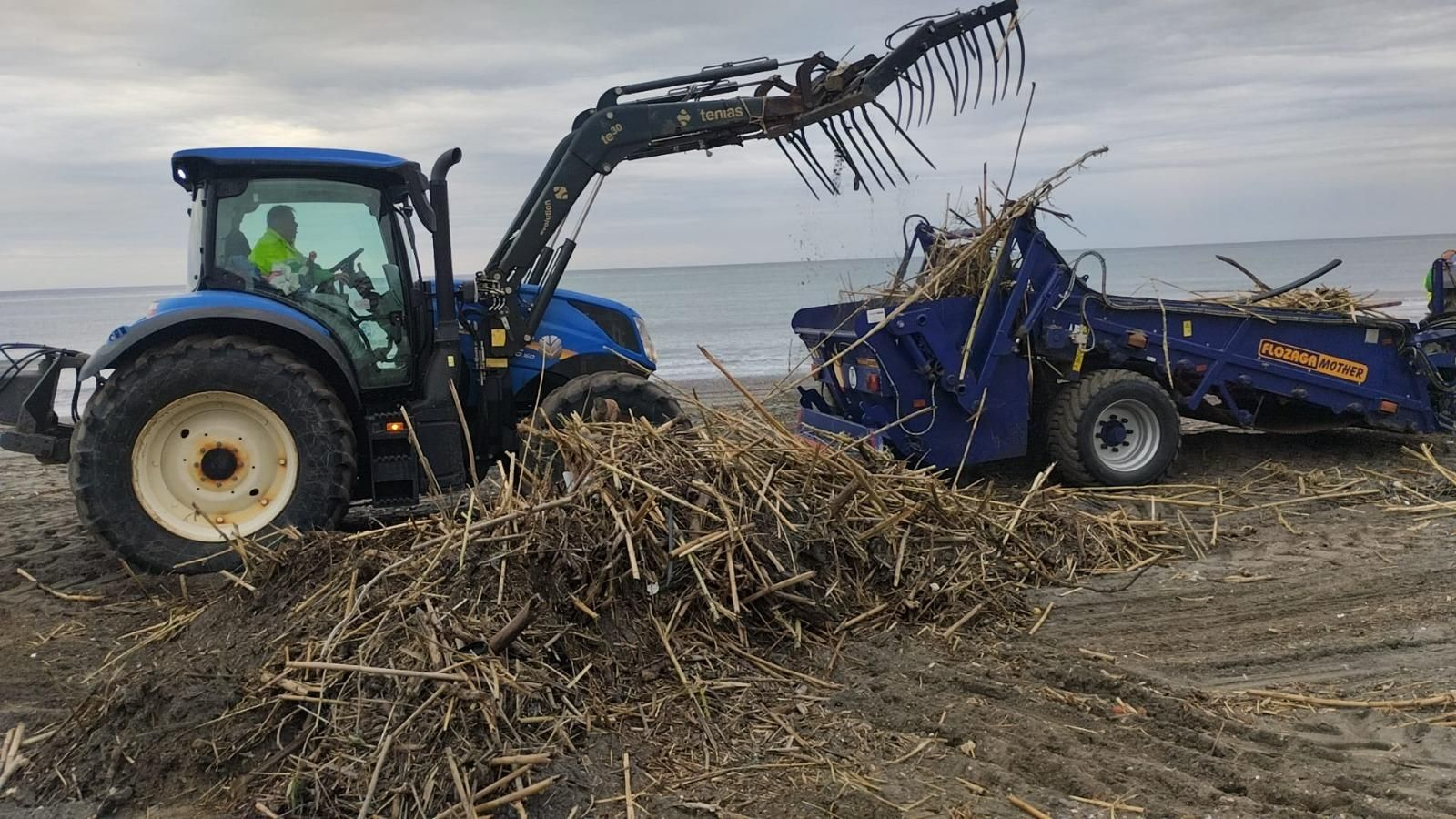 La retirada de cañas en las playas de litoral de Málaga, en imágenes
