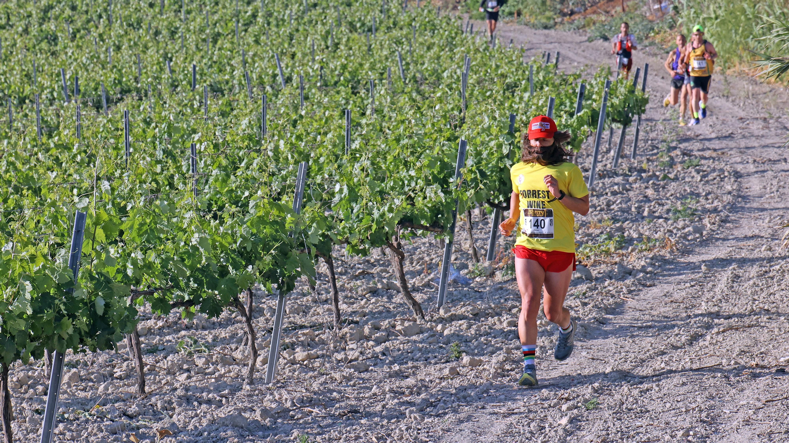 VI Sherry Maratón Jerez