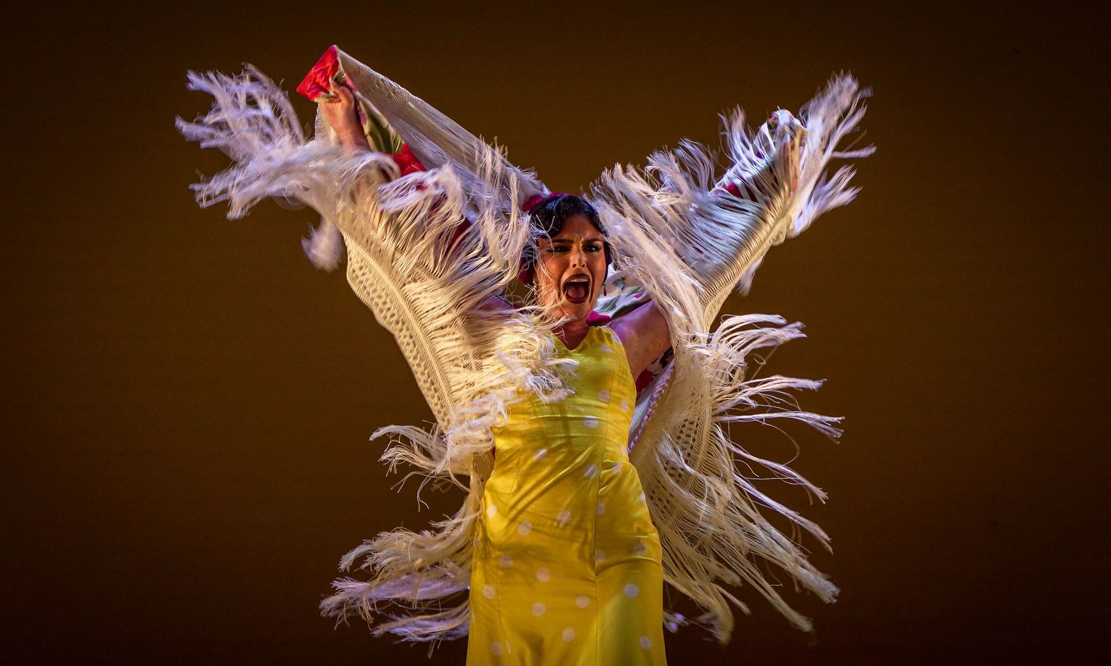 Imágenes del ballet Flamenco de Andalucía 'Tierra bendita', 3o Festival de Jerez