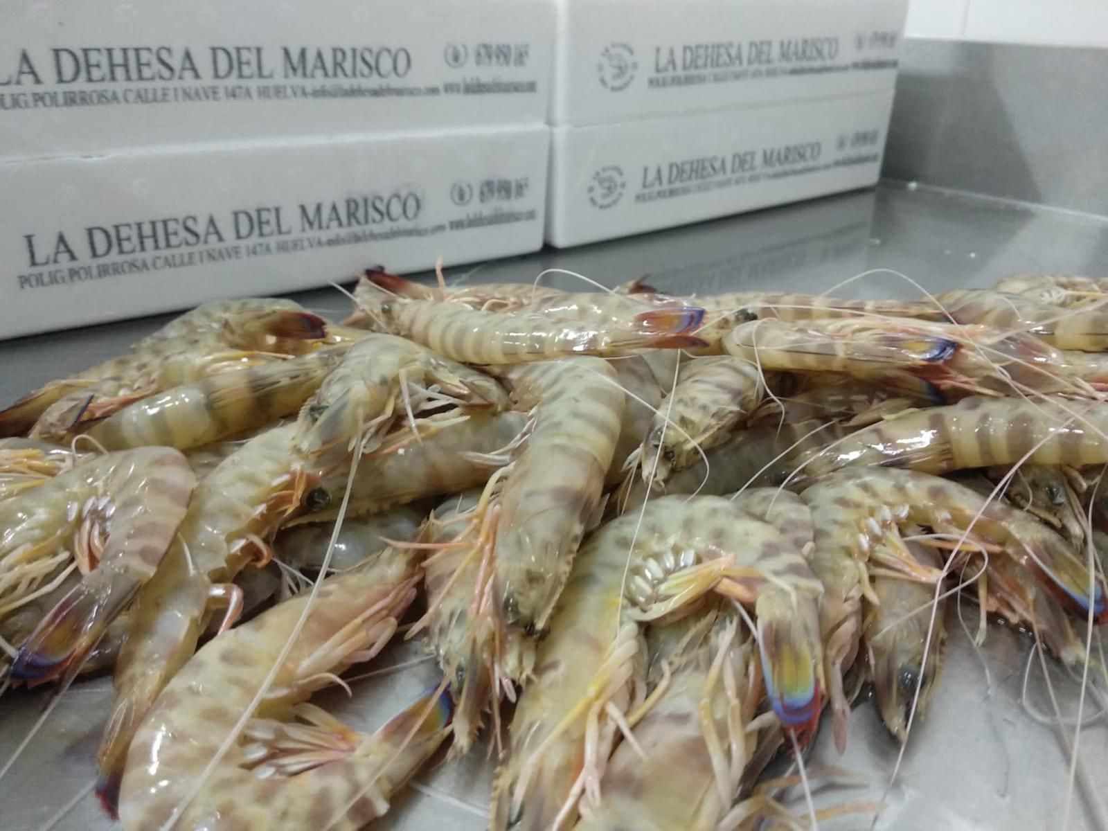 Los productos de mar de La Dehesa del Marisco son de calidad garantizada y muy frescos.