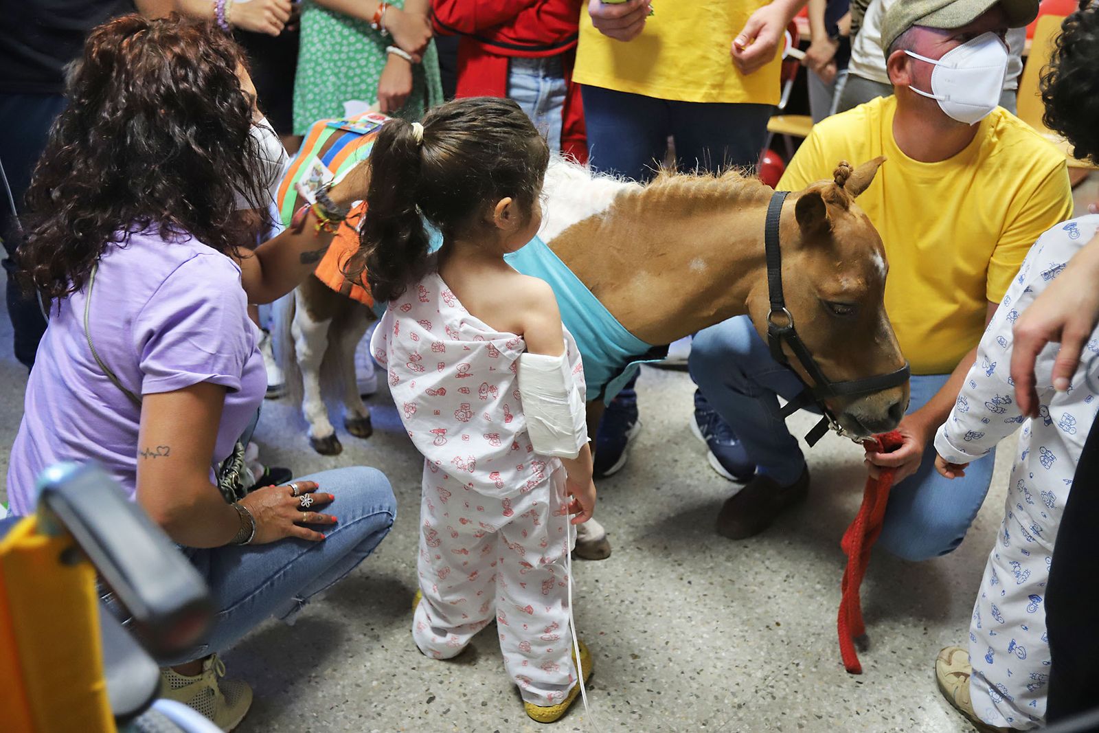 Los niños hospitalizados en el Juan Ramón Jiménez reciben la inesperada visita de unos caballos