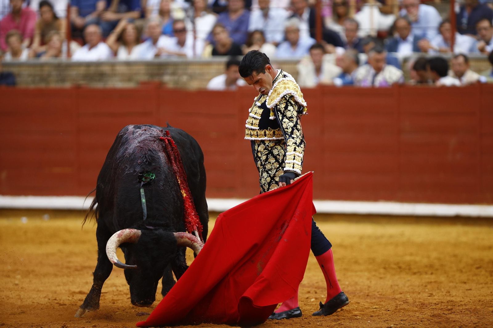 La corrida de Talavante, Roca Rey y Lagartijo, en Córdoba, en imágenes