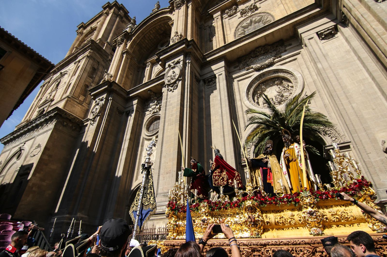 La Borriquilla, ante la Catedral.
