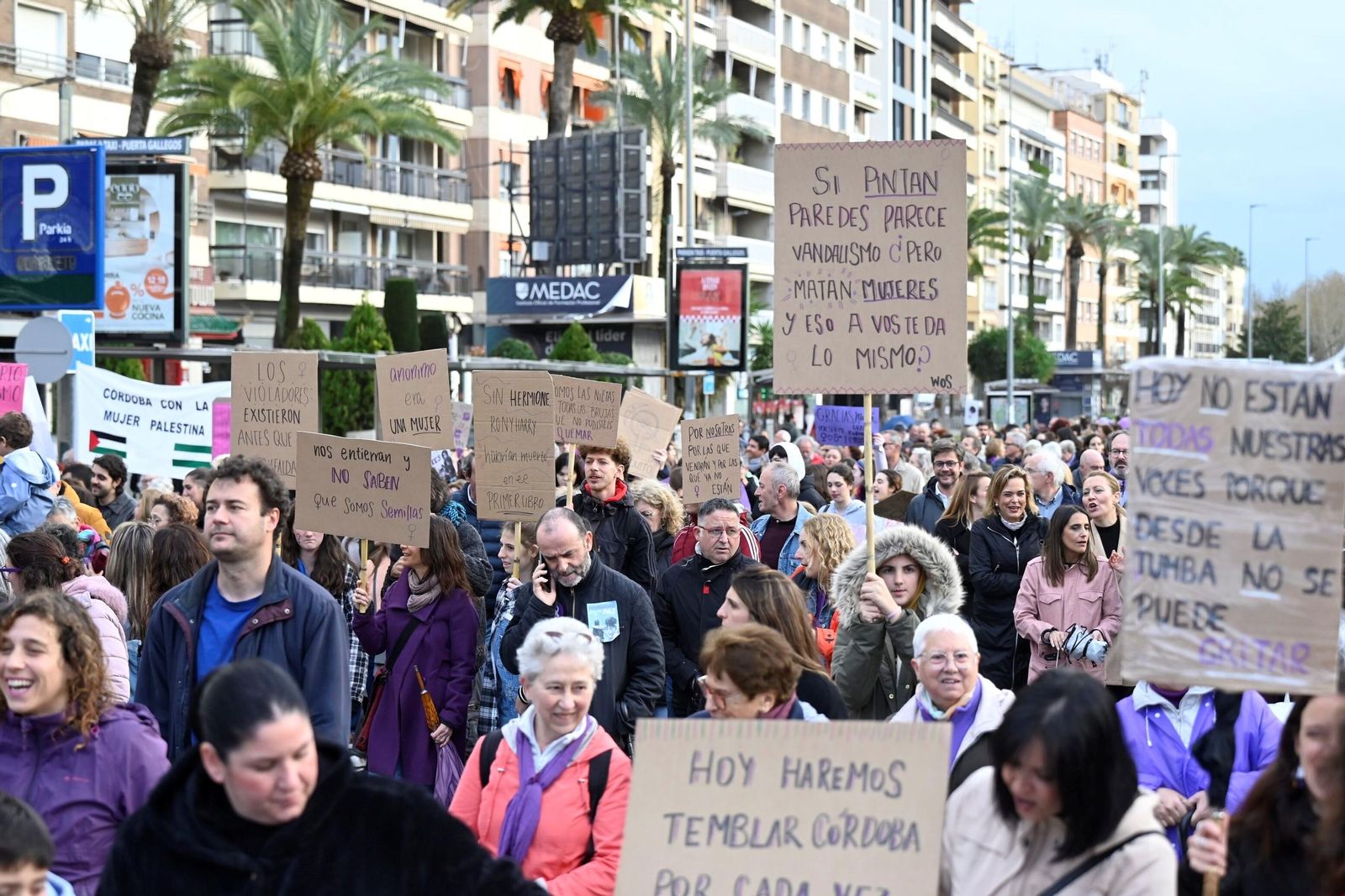 La manifestación del 8M en Córdoba, en imágenes