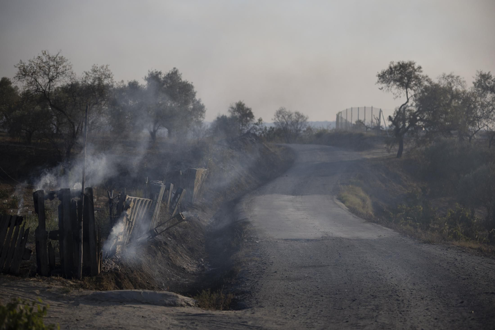 Imágenes del incendio de Bonares