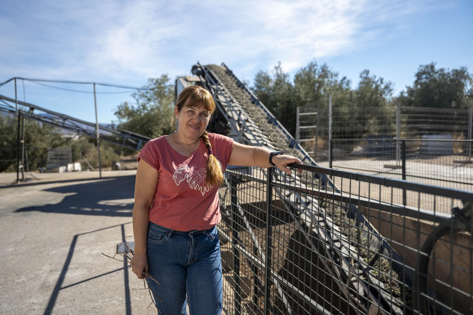 Os enseñamos como se hace el aceite en la almazara de Fiñana, en imágenes