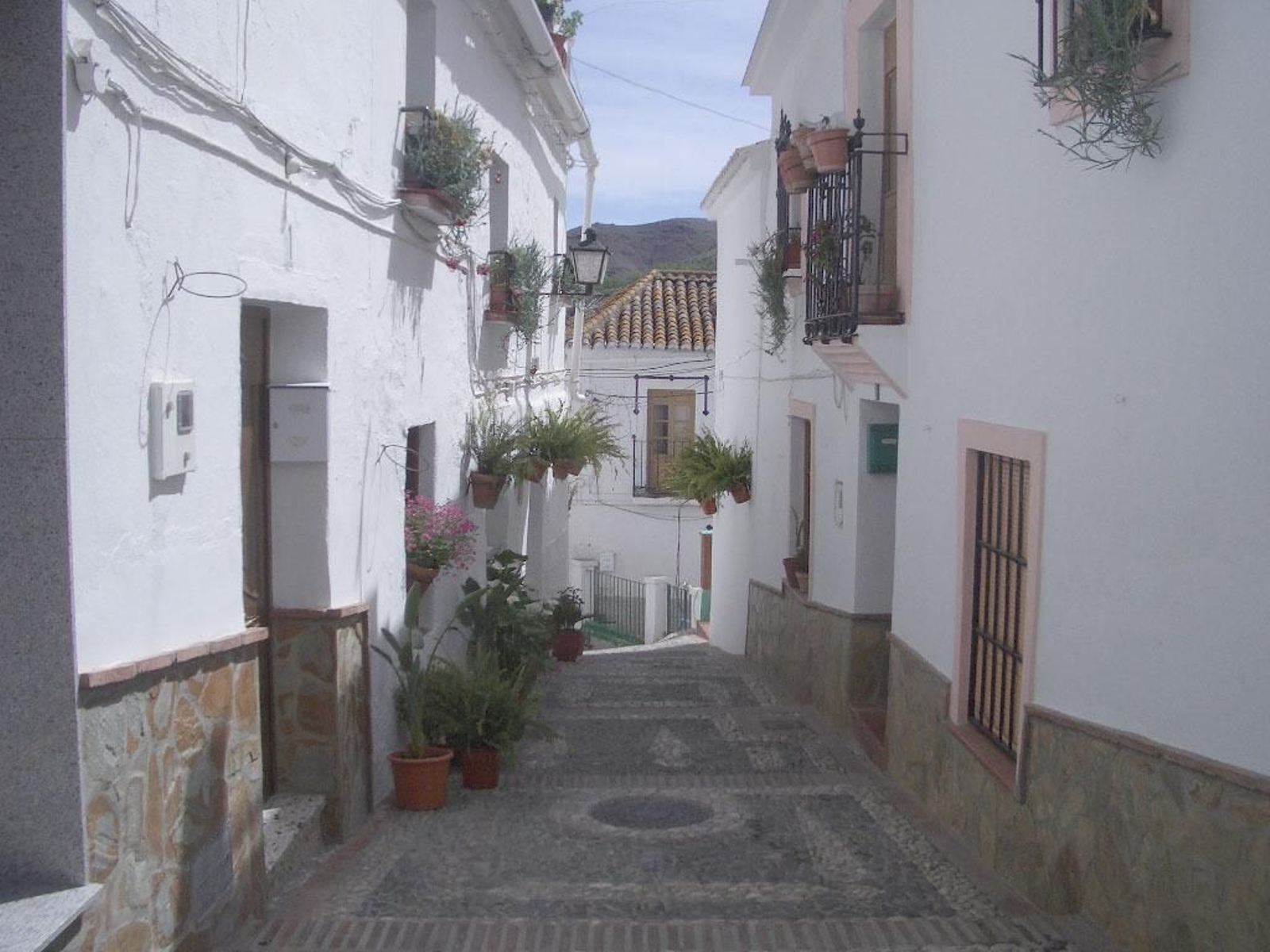 Una calle de El Borge. Una calle de El Borge.