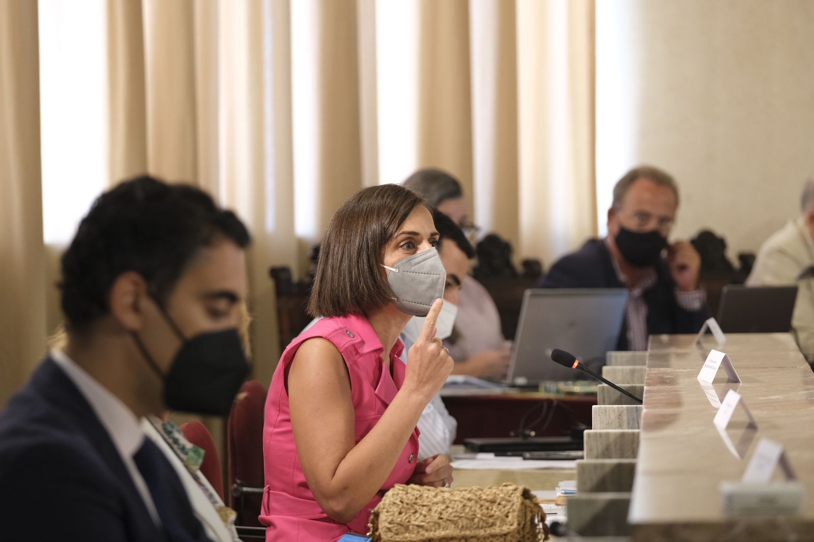 Fotogalería pleno ordinario Ayuntamiento de Almería.
