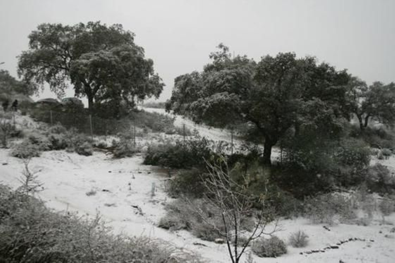 En las Pajanosas, todo nevado./ Jose Antonio Pérez Moreno