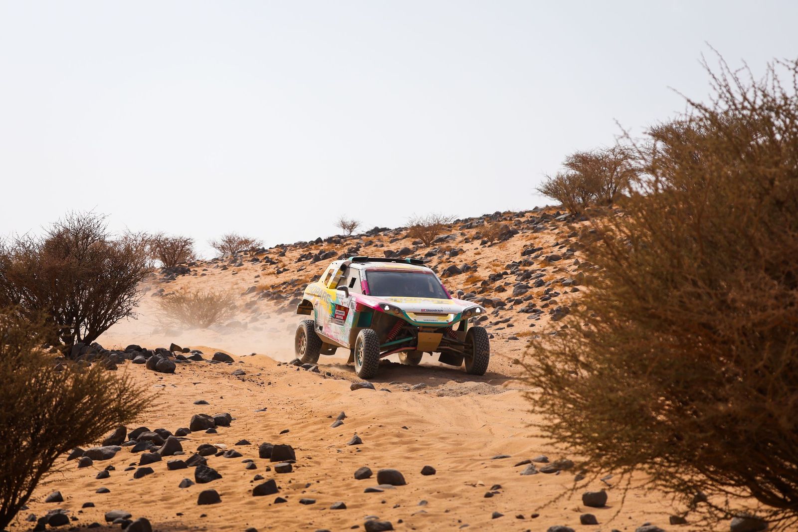 Las mejores fotos del Rally Dakar | undécima etapa